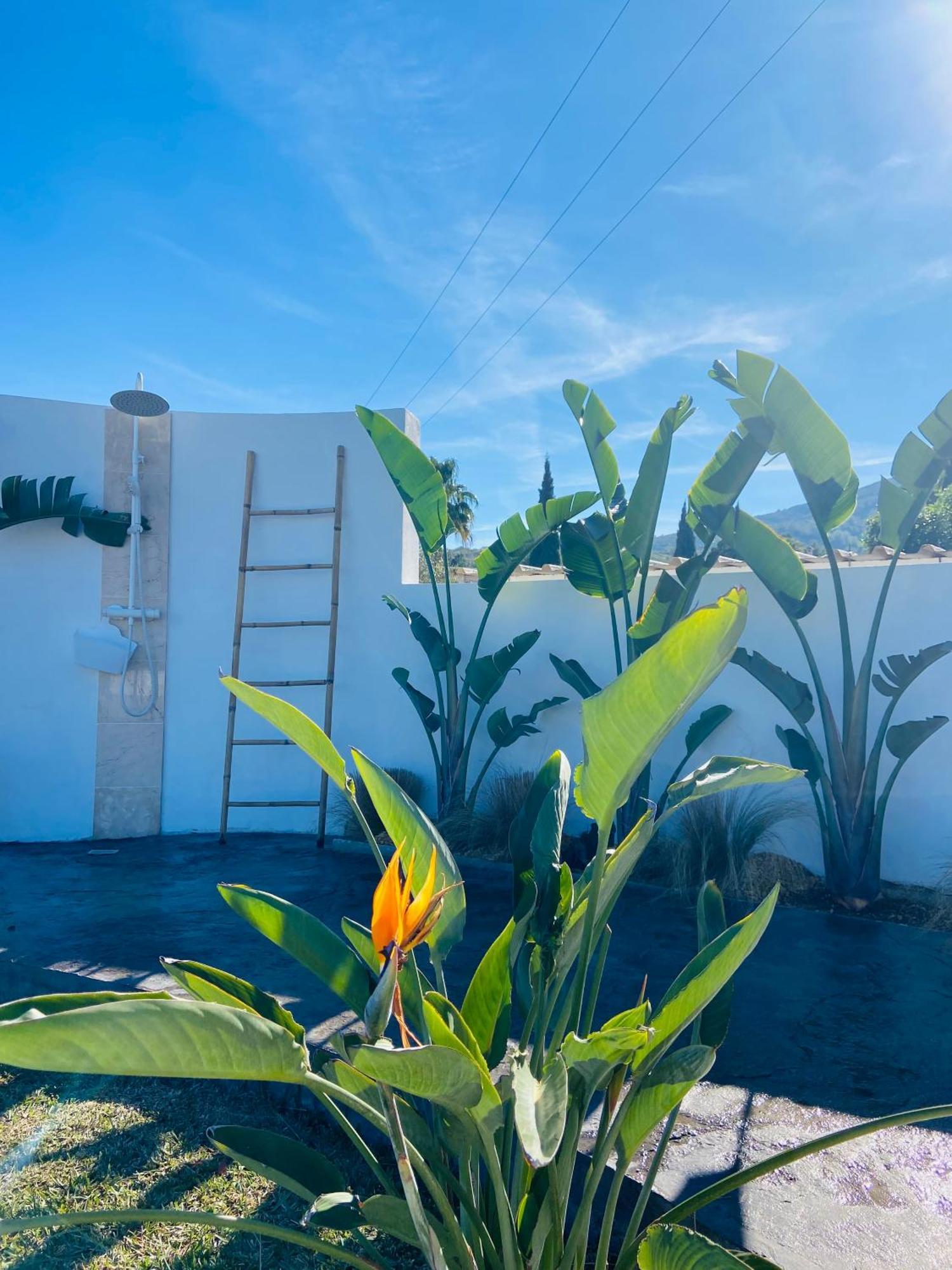 Villa Casa Avellana à Dénia Extérieur photo